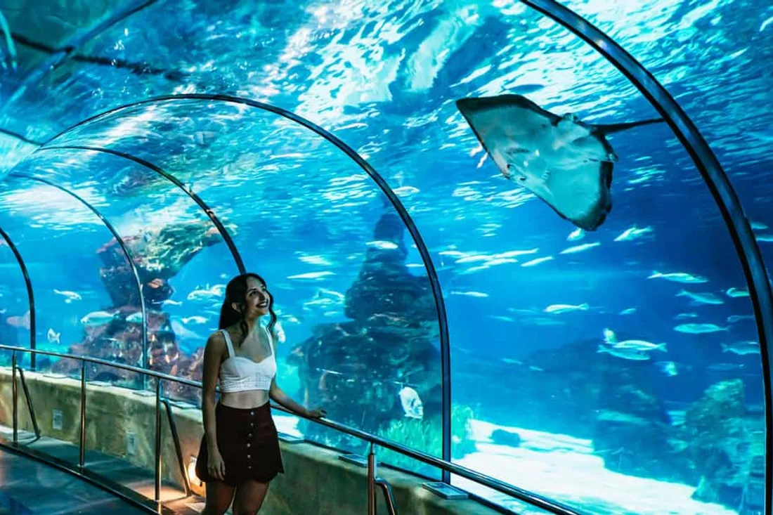 Playful interactive exhibit at one of the fun and quirky museums in Barcelona, Spain