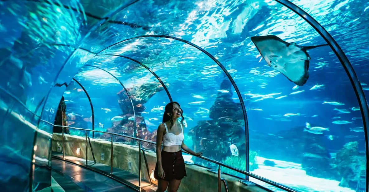 Glass shark tunnel at the Barcelona Aquarium, a family favourite among the museums in Barcelona, Spain
