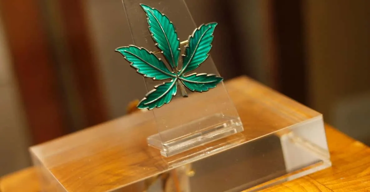 Cannabis history and botanical displays inside one of the museums in Barcelona, Spain